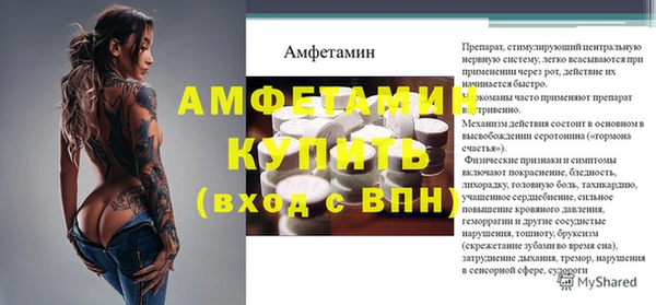 индика Каменка