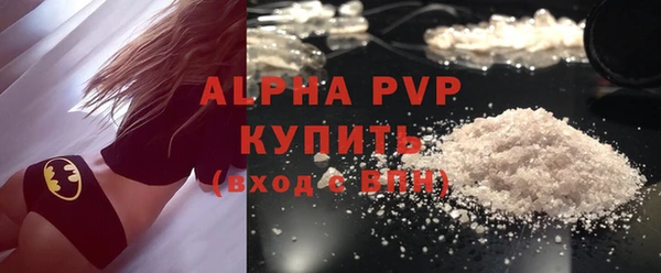 индика Каменка