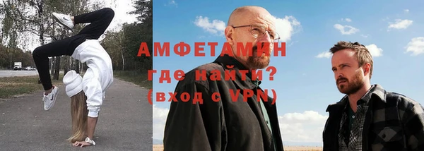 индика Каменка