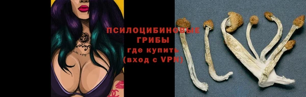 эйфоретик Инта