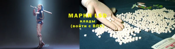 эйфоретик Инта