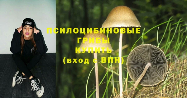 мдма Инсар