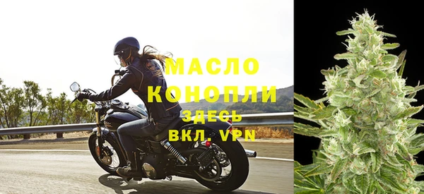 дмт Каменногорск