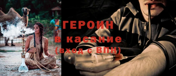 индика Каменка