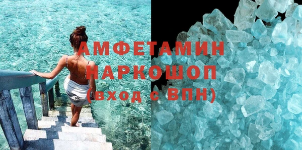 индика Каменка