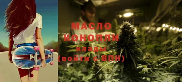 индика Каменка