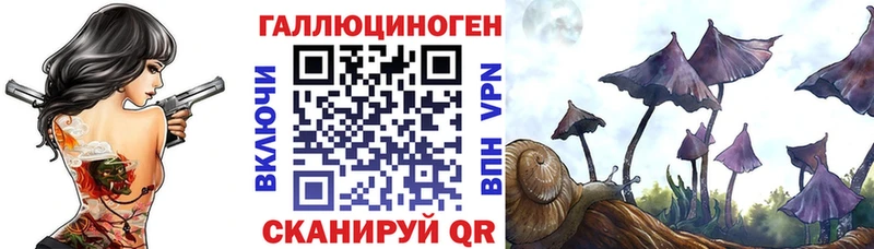 Галлюциногенные грибы мицелий  Юрьев-Польский 